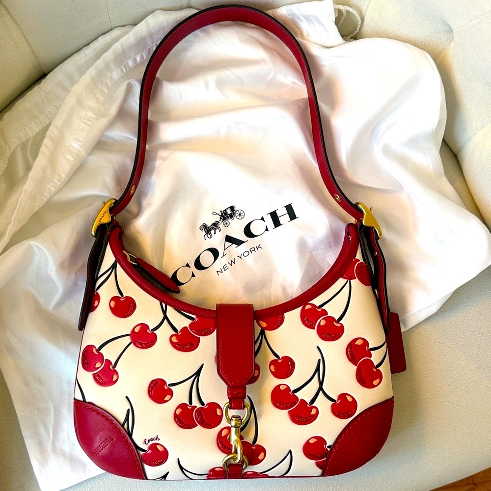 Coach Shoulder Bag  🍒